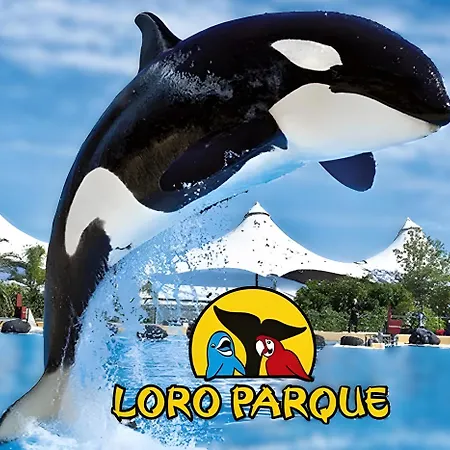 Con Vista Al Mar Puerto de la Cruz (Tenerife)