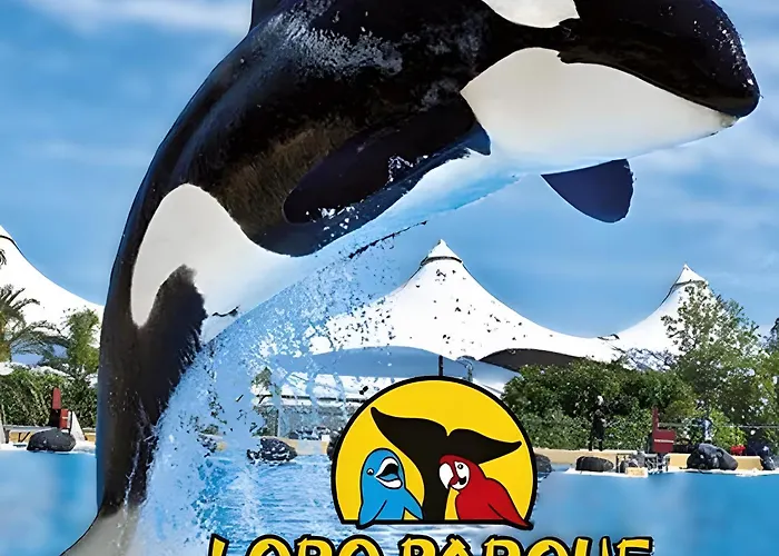 Con Vista Al Mar Puerto de la Cruz (Tenerife)